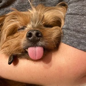 Meet your Posher, Terri lynn